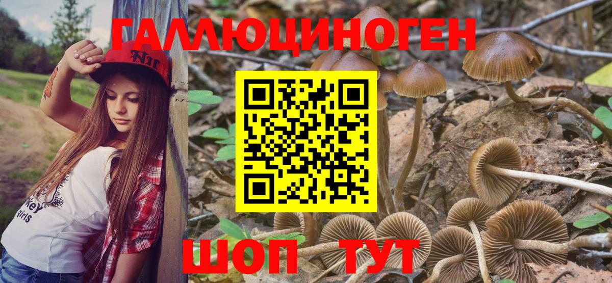 Псилоцибиновые грибы мицелий  наркошоп  Верхняя Салда  Псилоцибиновые грибы Magic Shrooms  Вход с VPN 